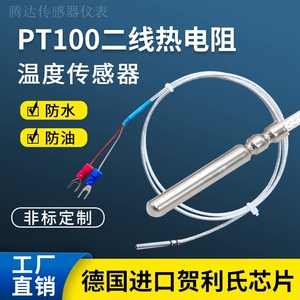 二线PT100热电阻两芯制PT1000铂热电阻温度传感器铁氟龙防水探头
