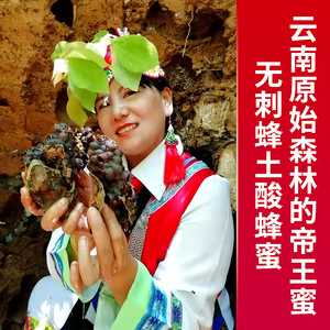 云南纯正原始森林高山野生无刺土酸蜂蜜农家自宝宝孕妇食用百花蜜