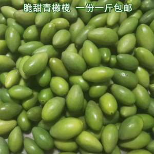 广东揭阳潮汕脆皮橄榄 新鲜青橄榄生橄榄果 青果孕妇水果 一份1斤