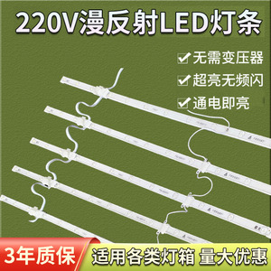 220V漫反射灯条卡布灯箱led灯条卷帘灯广告软膜天花吊顶专用光源