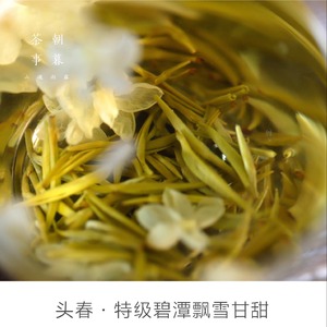 茉莉花茶2024年春七窨雪竹茉莉春茶碧潭级特级飘雪甘甜浓爽嫩绿茶