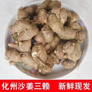 化州新鲜沙姜三赖山奈香油鸡配料三 沙姜鸡料新鲜蔬菜食用调味品