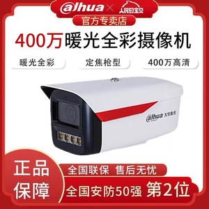 大华400万POE暖光双灯日夜全彩H265网络摄像机IPC-HFW2433M-A-LED