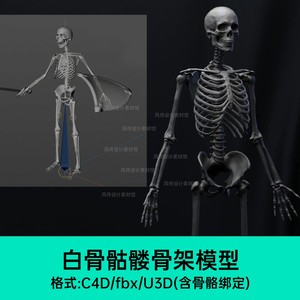 白骨架骷髅头3D模型素材人体骨骼骨头U3D骨骼绑定动作C4D三维建模