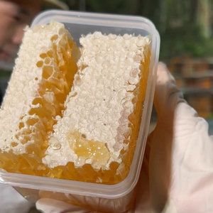 嫩蜂巢蜜嚼着吃盒装500克百花纯正天然嫩蜂窝蜜蜂巢块