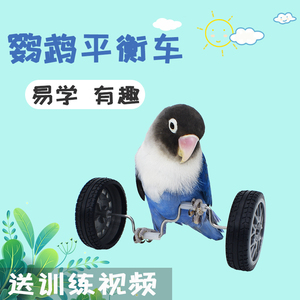 鹦鹉玩具解闷平衡车益智陪伴道具虎皮牡丹滑轮技能训练玄凤鸟玩具