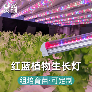 贵翔 红蓝光植物生长灯LED灯管补光灯蔬菜育苗组培实验植物工厂