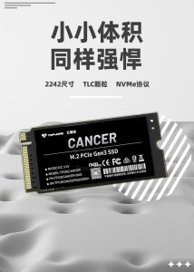TOPMORE达墨巨蟹座 2242 PCIE3.0 1TB NVMe M2 笔记本台式机硬盘
