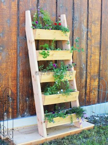 户外立体花园实木阶梯架靠墙多层花架种植槽草莓矮牵牛幼儿园多i.