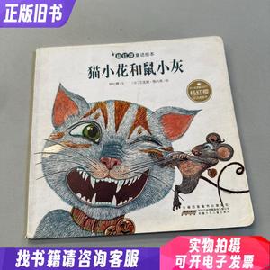 杨红樱童话绘本：猫小花和鼠小灰
