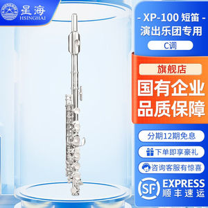 星海（XINGHAIINSTRUMENT）短笛乐器镀银笛子C调XP-100型乐队儿童