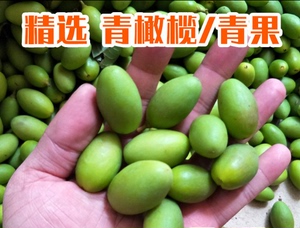2020现摘福建新鲜青橄榄生青果500克 水果沙榄白榄檀香。