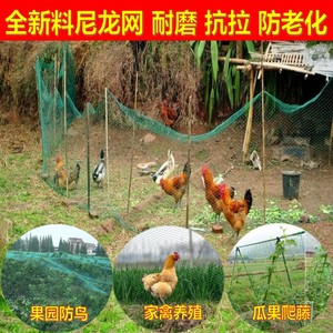 养鸡网防鸡拦鸡果园防鸟网家用防护护栏养殖网户外菜园围栏围鸡棚