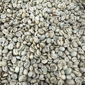 云南咖啡豆种子优质咖啡豆果树植物阳台庭院盆栽种植咖啡树种籽3