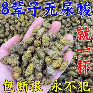 痛风降尿酸专用茶芹菜籽菊苣新版痛风降酸排尿溶石去结晶关节疼痛