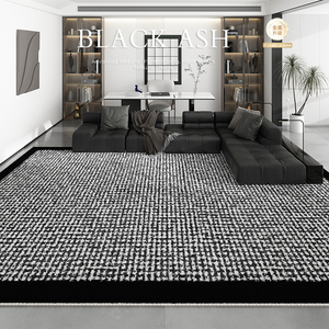 轻奢高级黑白客厅地毯2024新款沙发茶几毛毯可水洗仿羊绒客厅地垫