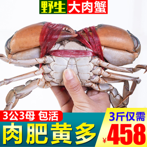 缅甸青蟹鲜活野生肉蟹红膏蟹 3公3母3斤装东南亚进口特大螃蟹包邮
