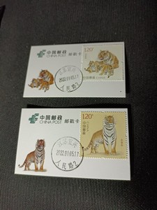 邮戳卡2全   贴2022-1 生肖虎邮票  盖发行日当天戮   收藏佳品