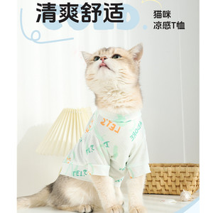 猫咪夏季衣服防掉毛银渐层暹罗猫布偶猫英短美短蓝猫虎斑金渐层