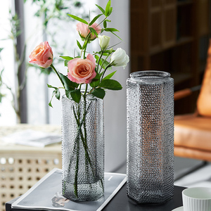 新款满天星玻璃花瓶北欧简约创意透明水养富贵竹百合插花摆件客厅