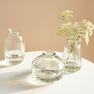 3个9.9元小众ins复古玻璃花瓶透明创意水培绿萝插花摆件网红