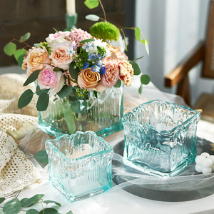网红冰雕玻璃方缸水培植物绿萝铜钱草花瓶创意摆件客厅桌面北欧风