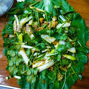 大白菜叶20片东北特产饭包白菜叶白菜叶子大绿白菜叶