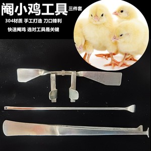 快速阉鸡工具304不锈钢材质小公鸡阉割刀大鸡用手术刀 养鸡场设备