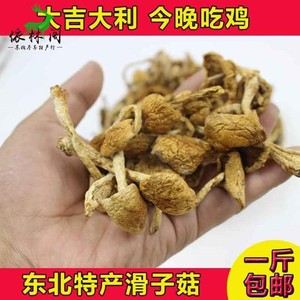 包邮东北长白山滑子菇干货250g吉林省特产滑子蘑小黄蘑干货炖鸡