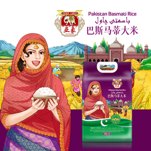 亚象巴斯马蒂大米巴基斯坦进口新米炒饭拌饭长粒香米2.5Kg