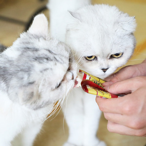 猫湿粮伊纳宝妙好鲜包 金味道鸡肉鱼肉猫零食日本猫罐头60g*10包