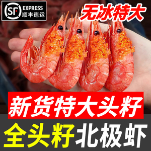 北极虾甜虾冰虾海鲜水产大号头籽带籽特大海虾刺身北极甜虾10斤