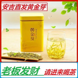 安吉黄金芽2024年新茶叶明前高山头采嫩芽奶白茶特级春茶绿茶250g