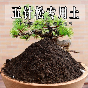 五针松专用土黑松营养土盆栽养花种花土通用种植酸性土壤有机肥料