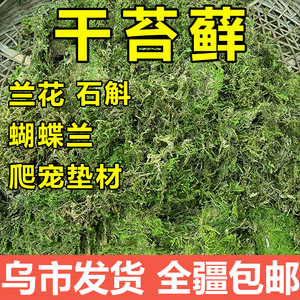 干苔藓水苔纯天然青苔兰花蝴蝶兰石斛种植专用营养土爬宠乌龟垫材