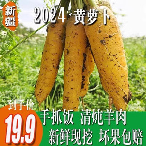 新疆特产黄色胡萝卜红新鲜蔬菜生吃水果抓饭农家自种非有机黄萝卜