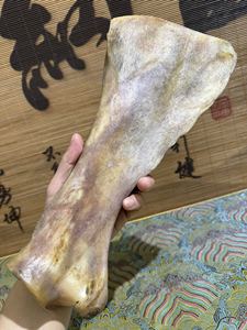 骆驼大腿骨肱骨肩胛骨文玩工艺品骨玩材料满血红料骆驼骨头