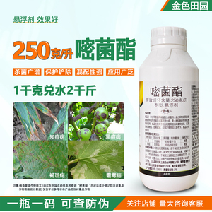 25%嘧菌脂嘧菌酯姜葡萄黑豆炭疽病密菌脂阿米秒收农用杀菌剂