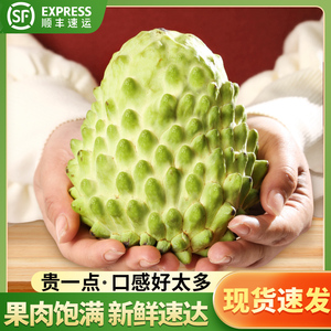 台湾凤梨释迦果新鲜水果番荔枝包邮树上熟凤梨牛奶佛头果2斤/4斤