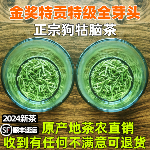 2024新茶狗牯脑茶江西绿茶明前头采芽头嫩芽春茶金奖特贡罐装茶叶