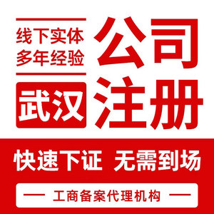 武汉注册公司营业执照代办个体工体企业注册注销记账报税异常处理