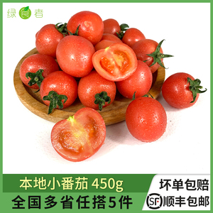 绿食者 上海本地小番茄450g 新鲜水果迷你樱桃番茄 满5件包邮