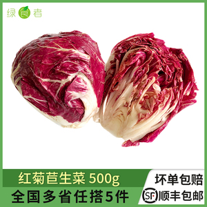 新鲜红菊苣500g 紫苣落地球生菜 西餐蔬菜沙拉食材 满5件包邮