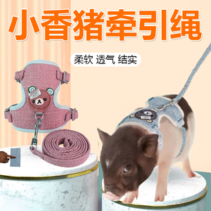 小香猪牵引绳专用溜宠物猪牵引绳遛泰国养小香猪的绳子生活用品