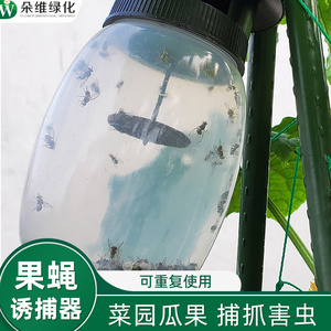 果蝇诱捕器果园菜园家用农业物理除虫针蜂室内诱捕剂害虫捕抓器