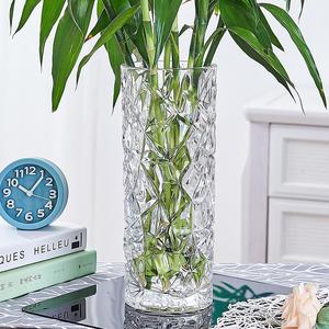 竹子种植盆加厚花瓶玻璃透明水养富贵竹玫瑰百合干花插花摆件大号