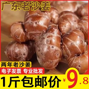 1斤包邮沙姜新鲜山奈三奈广东白切鸡种子特产老生姜蘸调味配香料