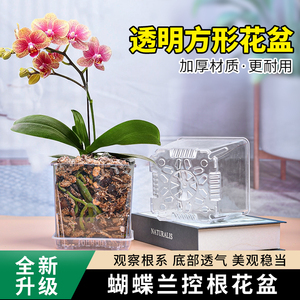 高透明塑料方形带底孔透气桌面创意水培花盆蝴蝶兰洋兰花盆
