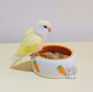 胡萝卜圆形防洒陶瓷碗 防撒防漏 适用于中小型鹦鹉