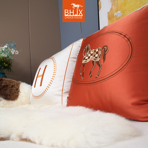 皮沙发抱枕靠垫 客厅 现代靠枕红色欧式定制法式方枕欧式高档美式